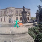 Explore Anchorage, Alaska and Help around my small farm