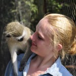 Volunteer with Wildlife in South Africa