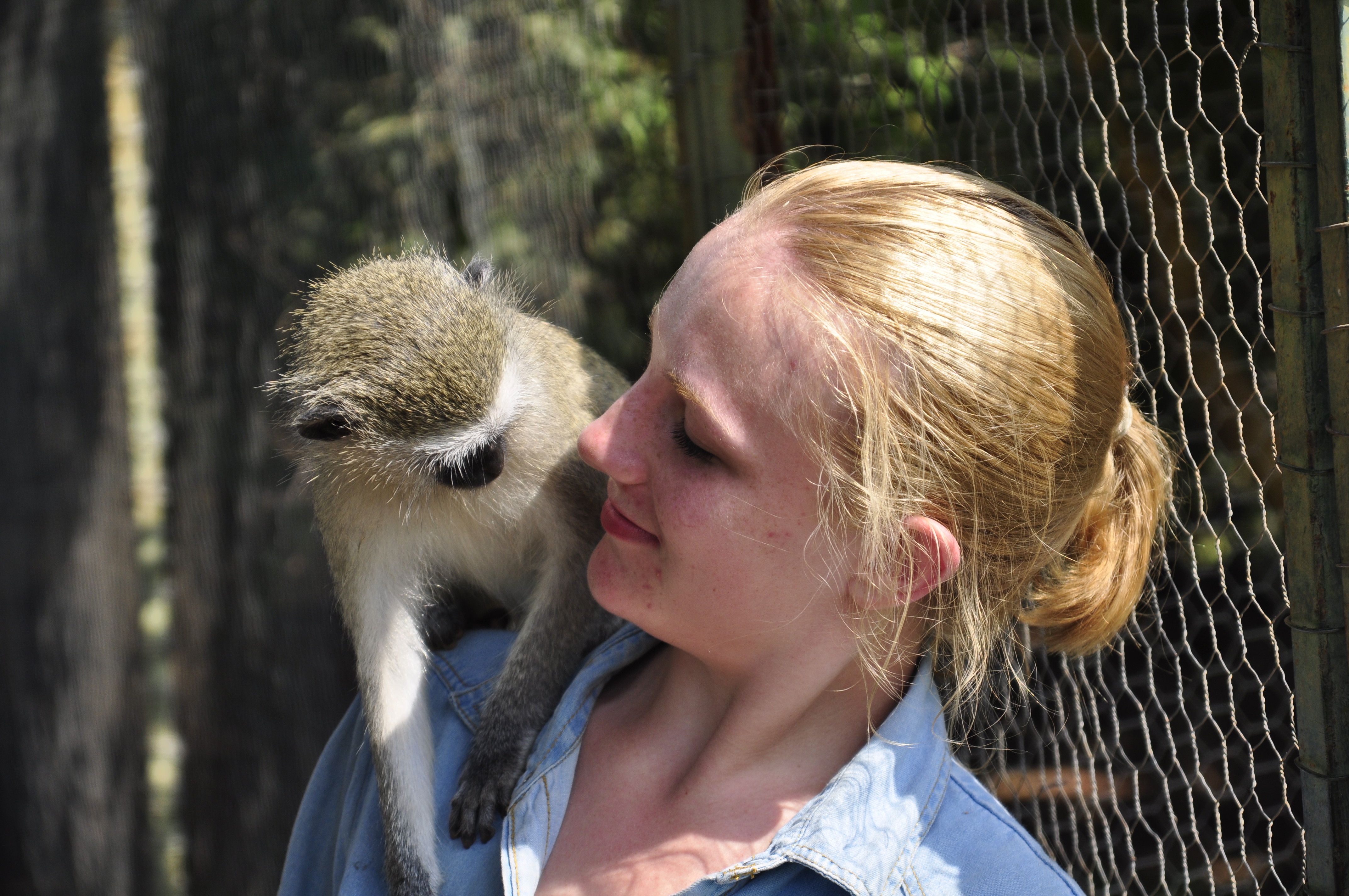 Volunteer with Wildlife in South Africa