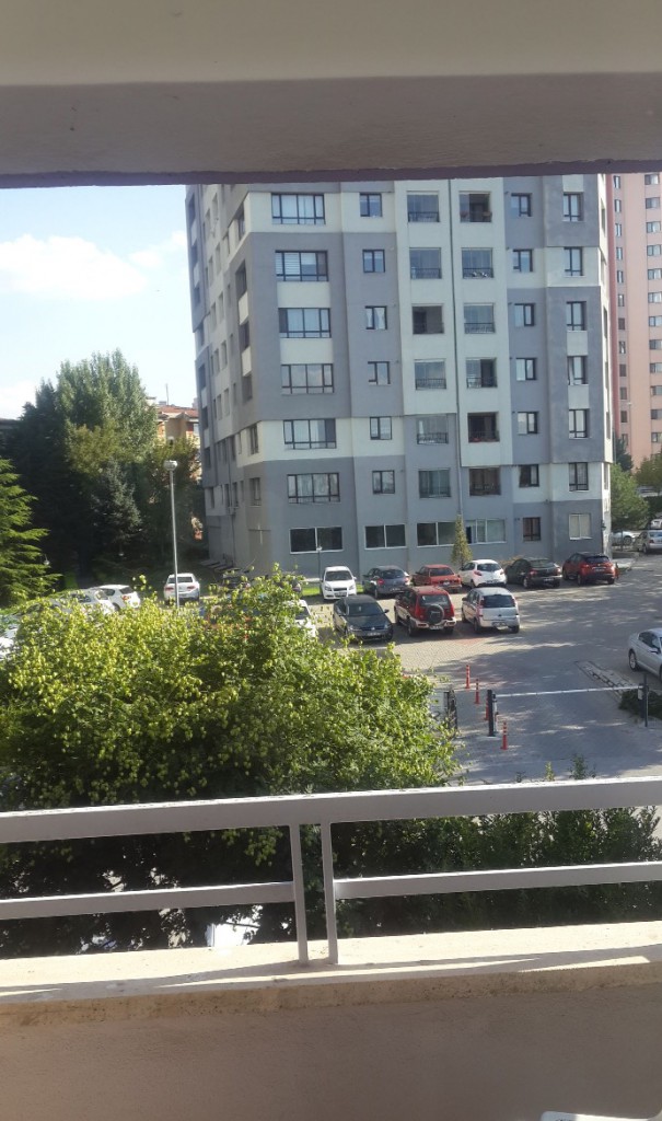 Cure my boredom and stay for free! Only interesting people!