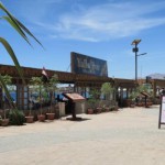 Help me to serve customers at my restaurant and get accommodation & food for free (Egypt, South Sinai, Dahab)