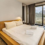 Luxurious Villa CLEMENT