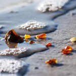 I invite you to visit Kaliningrad. It is the only Russian city, which is located outside of Russia, and it is separated from European countries